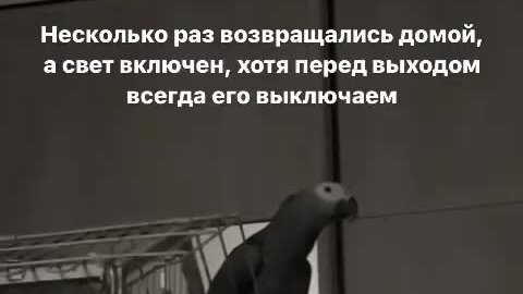 Какие нибудь мемы. Включи какую нибудь умную. Злодей прикол. Ты меня понимаешь понимаю объясни мне. Скажи что нибудь интересное.