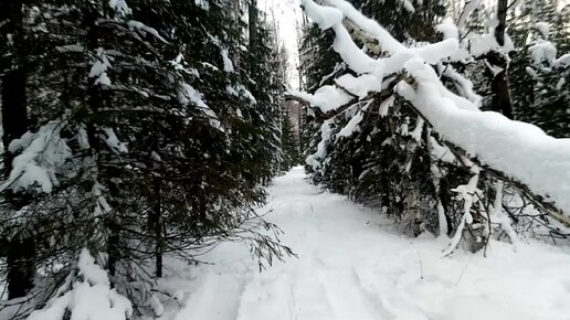 Трейлеры фильмов для взрослых. Тверк. Комедии 18 с цензурой. Прикольные видеоклипы. Короткие интересные ролики.