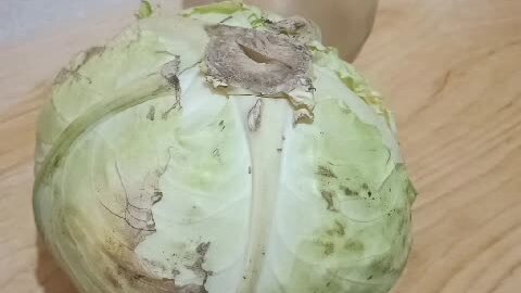 капуста квашеная. капуста 2 соли 1 сахара. квашеная капуста без соли. крупная соленая капуста. квашеная капуста в банке.