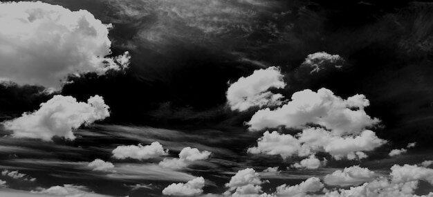 евгении басовой «наша земля — дышит. одинокая птица наутилус текст. романтическая композиция. стихотворение широка страна моя родная. дышит земля песня.