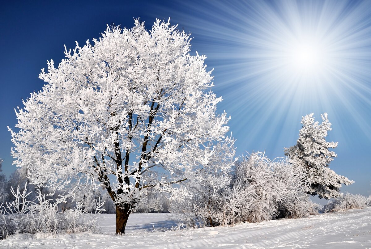   Фото: по лицензии Shutterstock