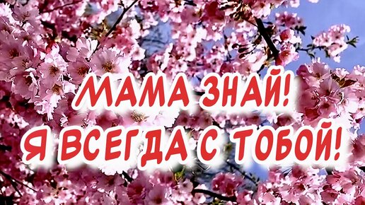 Стихи на 8 марта маме — красивые и трогательные до слез | RL Разные Люди