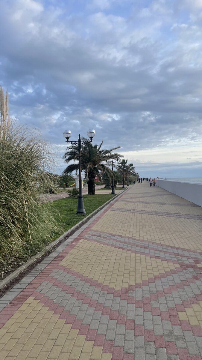 Адлер сочи зима. Зима в адлере фото. Адлер сочи зима. Адлер зимой отдых. Парк ривьера зимой.