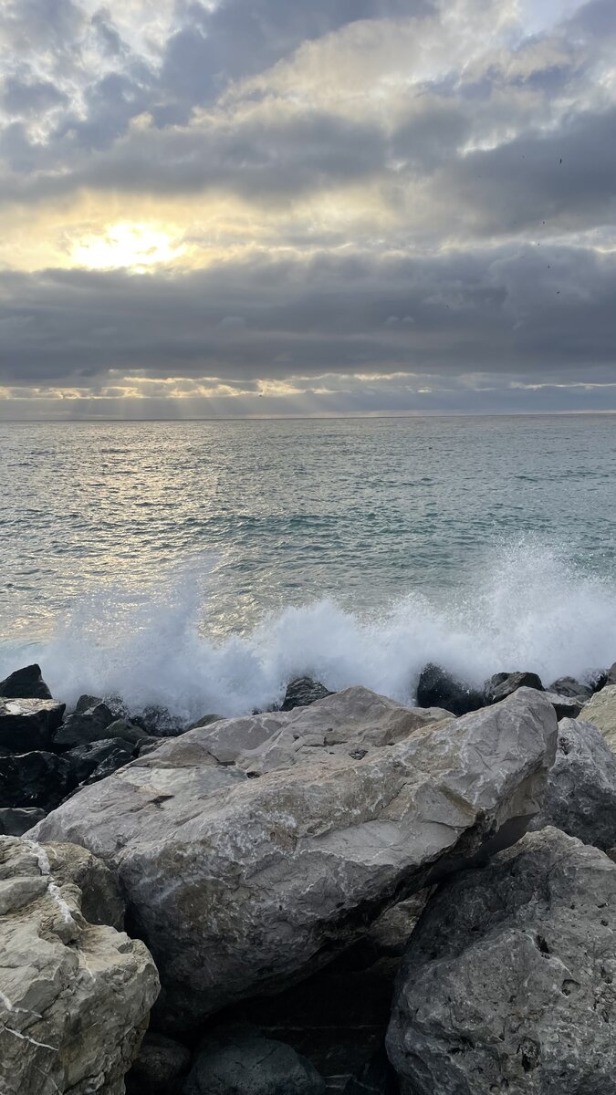 Что делать зимой в сочи в дождь. Дождливый сочи. Что делать зимой в сочи в дождь. Дождь в сочи. Климат сочи.