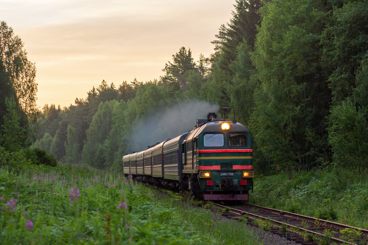 Поезд Рыбинск - Москва, 24.06.2019, перегон Белый Городок - Савёлово