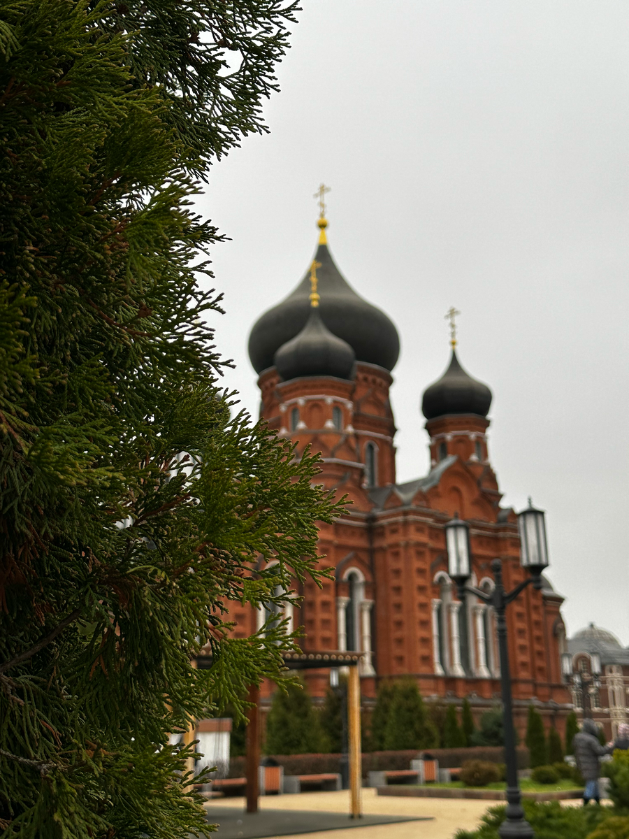 Тула превзошла мои ожидания. Гуляем по родине пряников и самоваров. |  Вокруг Светы | Дзен