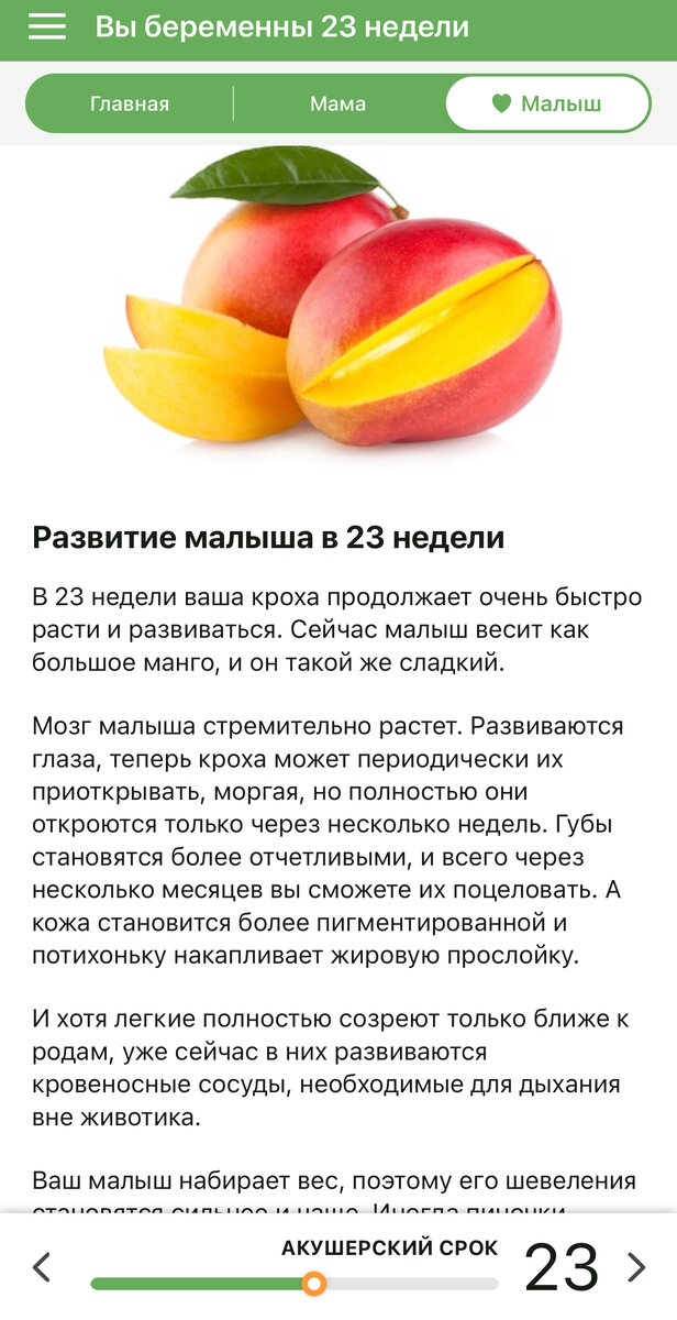 Тест на беременность утром и вечером. Вечерам можно проверить беременность. Вечерам можно проверить беременность. Вечерам можно проверить беременность. Вечерам можно проверить беременность.