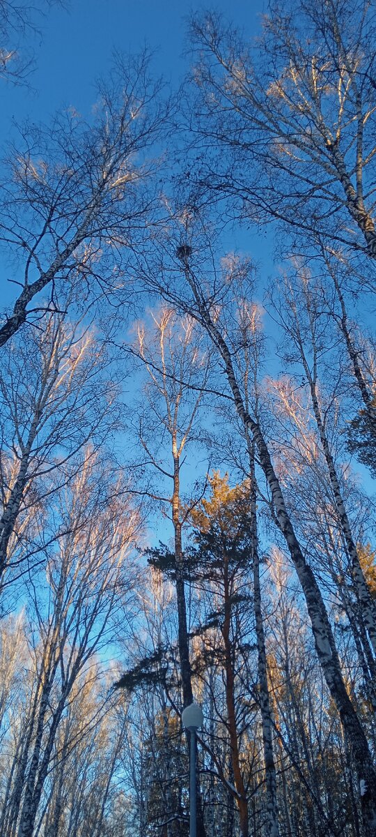 жить и любить. жаль но я не успеваю. девушка на мосту картина. девушка в мостике рисунок. жаль но я не успеваю.