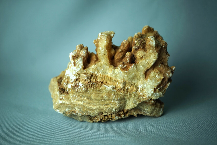 "Веточки" арагонита на мраморном ониксе.