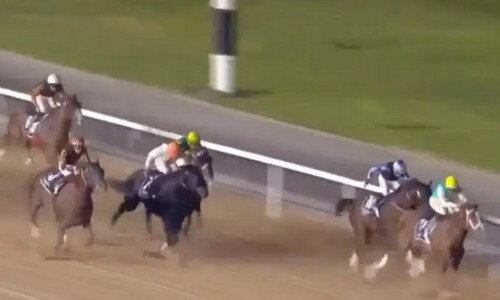 Паника клаус бернхардт. Методика по восстановлению позвоночника. Побеждать навсегда. Паника книга. Книги по боли в спине учебник.