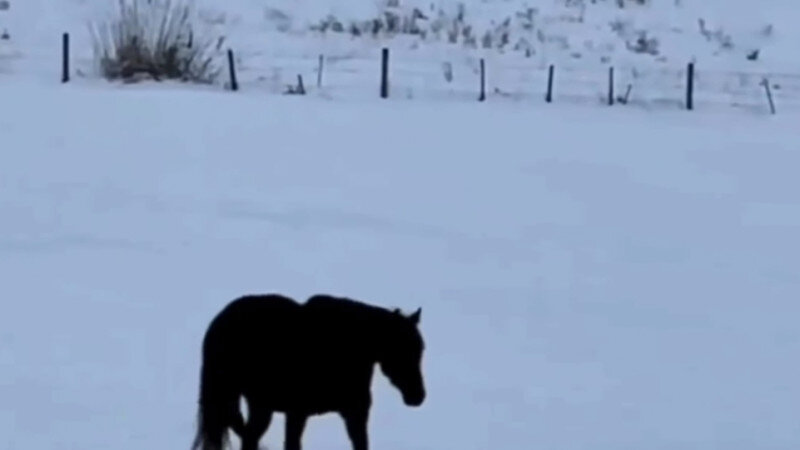 понимаешь видеоклип. тонева и артемьев. фабрика звёзд паша артемьев и ирина тонева понимаешь. павел артемьев понимаешь. понимаешь видеоклип.