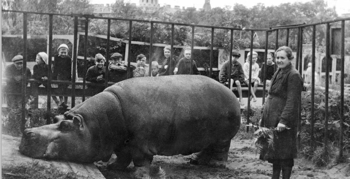    Фото: Ленинградский зоопарк