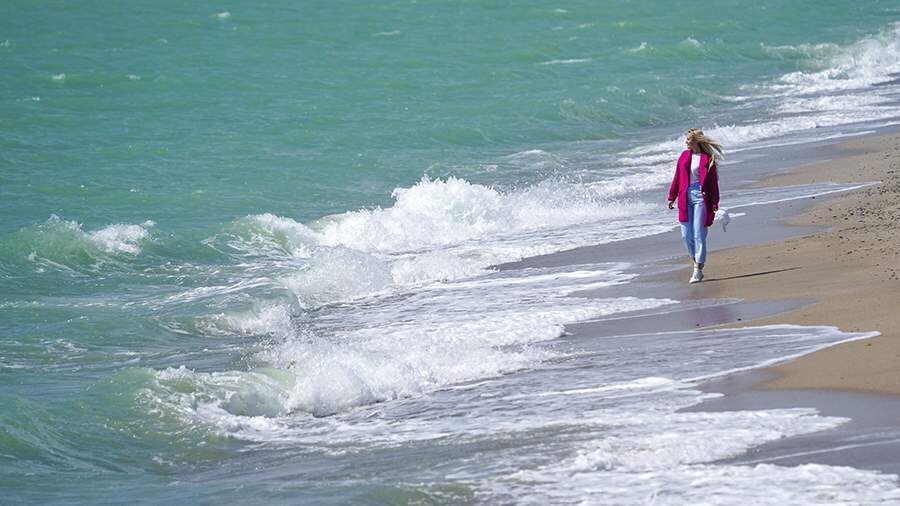 Какие планы яндекса. Какие планы яндекса. Яндекс текстовый редактор. Яндекс поиск. Поисковая строка яндекса.