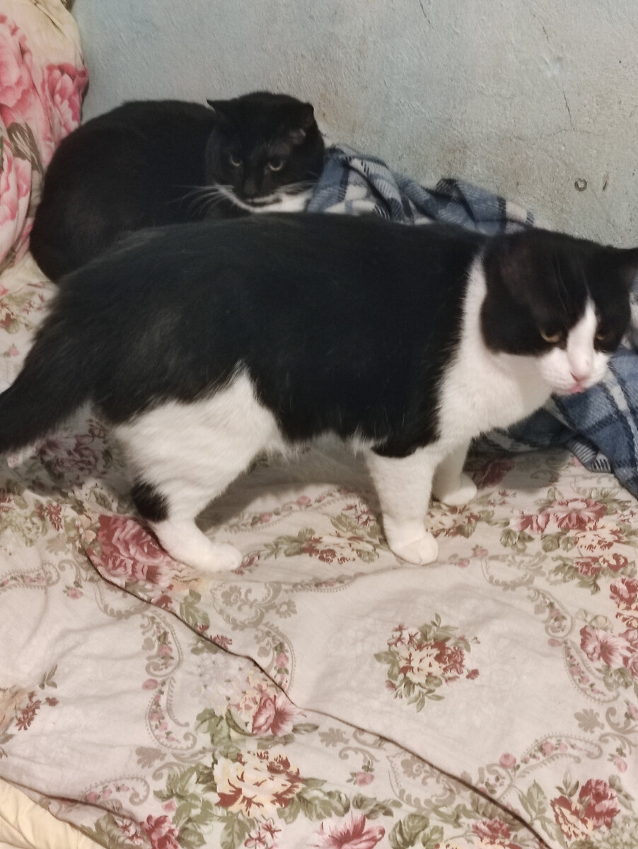 Филимон и Джон