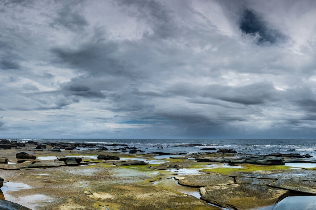 20.01.2024. Кингз-Бич, Саншайн-Кост, Квинсленд, Австралия. Фото из домашнего архива.