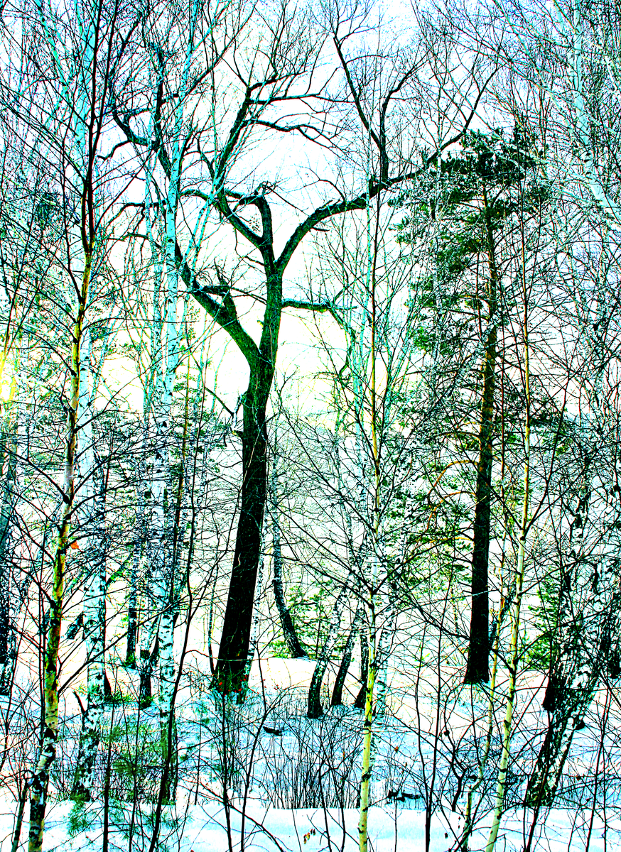 Фотография, стихотворение Василия Глуцкого