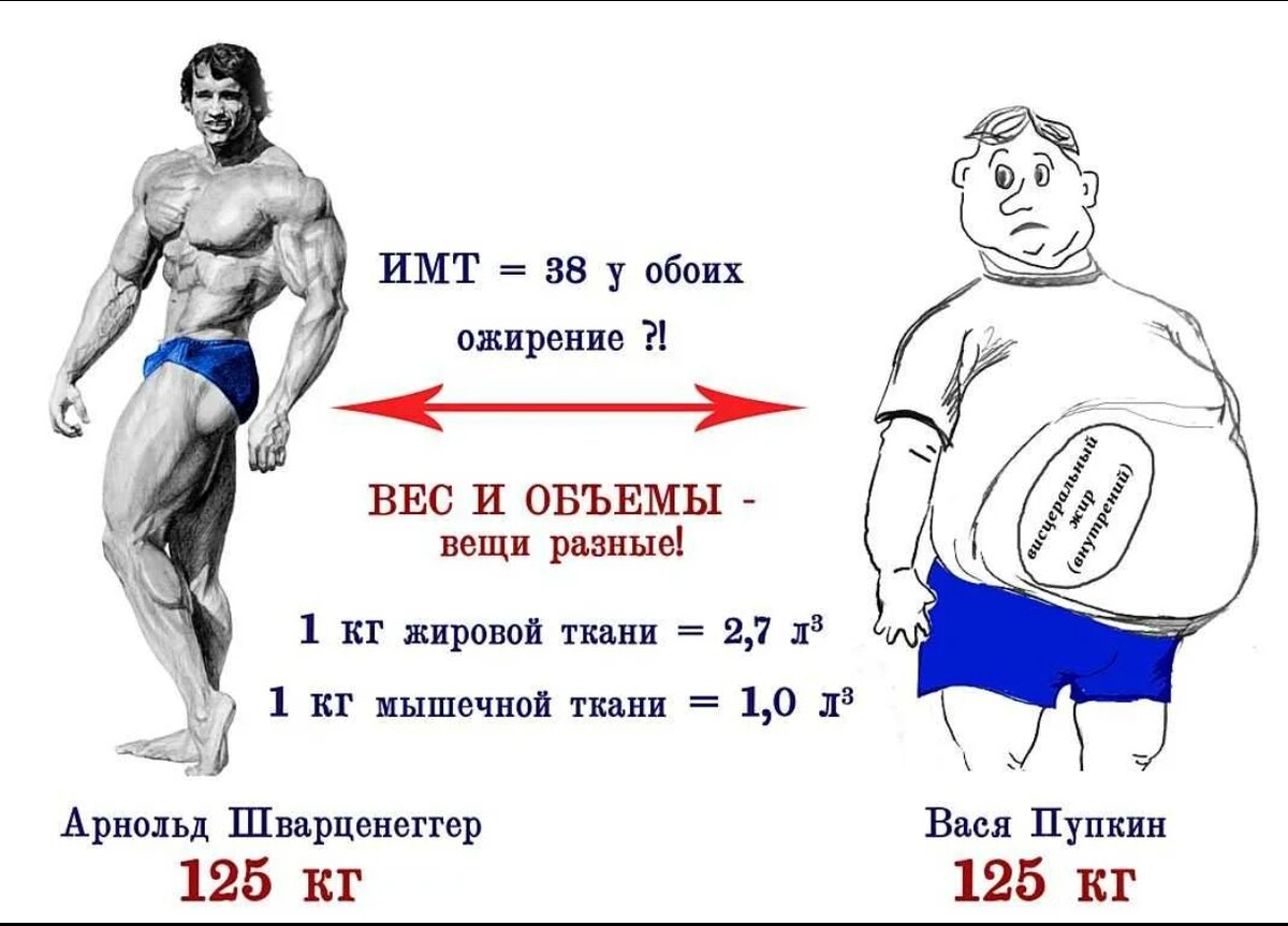 Растет вес форум. Индекс массы тела. Нормальная масса тела при ИМТ. Нормальный ИМТ для мужчин. Индекс массы тела (ИМТ).