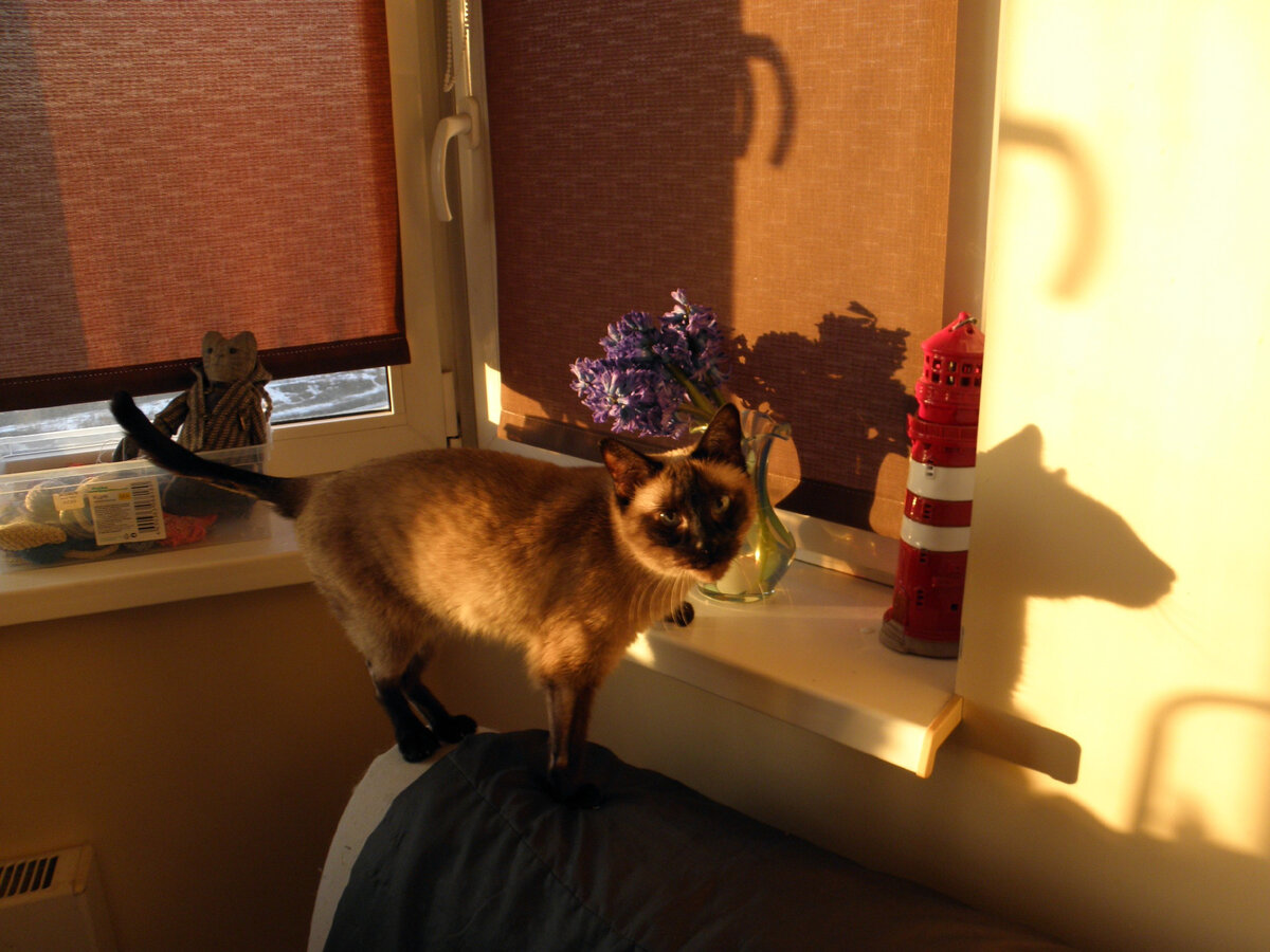 Как я вас понимаю нет не понимаете реклама. Ты даже просишь без уважения. Ты просишь без уважения оригинал. Эдди мёрфи смекалочка. Вы понимаете о чем говорят эти люди.