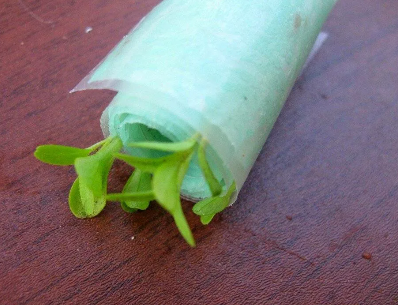 сверните ленту в трубочку