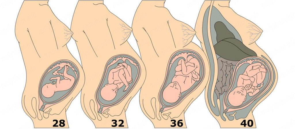 Выделения при беременности 2 триместр какие бывают. Выделения при беременности 2 триместр какие бывают. Выделения при беременности 2 триместр какие бывают. Нормальные выделения при беременности. Выделения при беремеенност.
