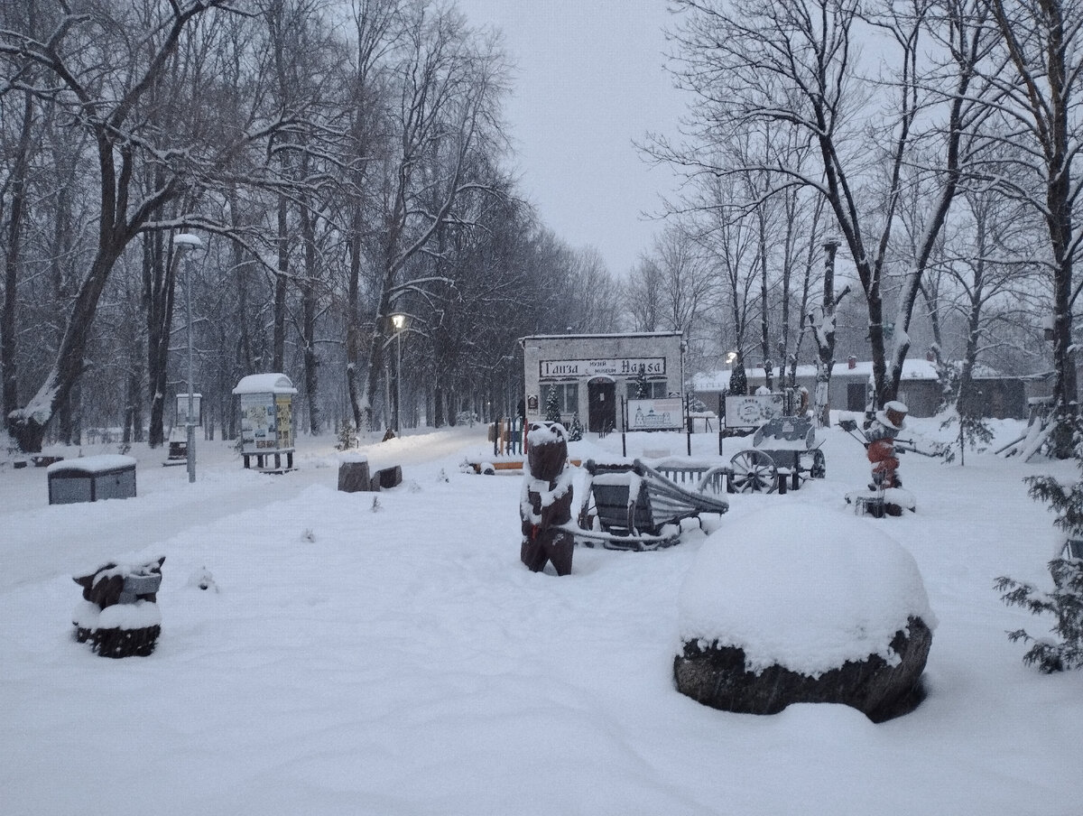 П ого д. П ого д. Ого пого панк. Ого пого панк. П ого д.