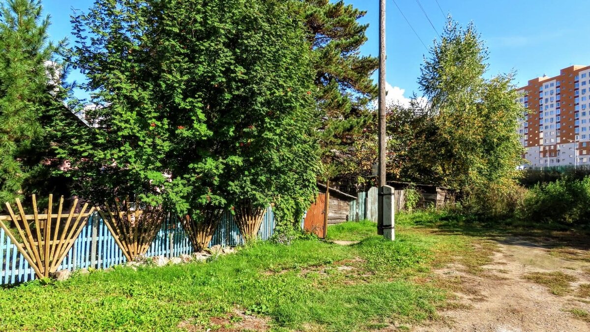 пустырь в люблино в годы великой отечественной войны. пустырь вокруг школы. улица пионерская нижневартовск. пустырь на улице куйбышева калининград. пустырь на улице.