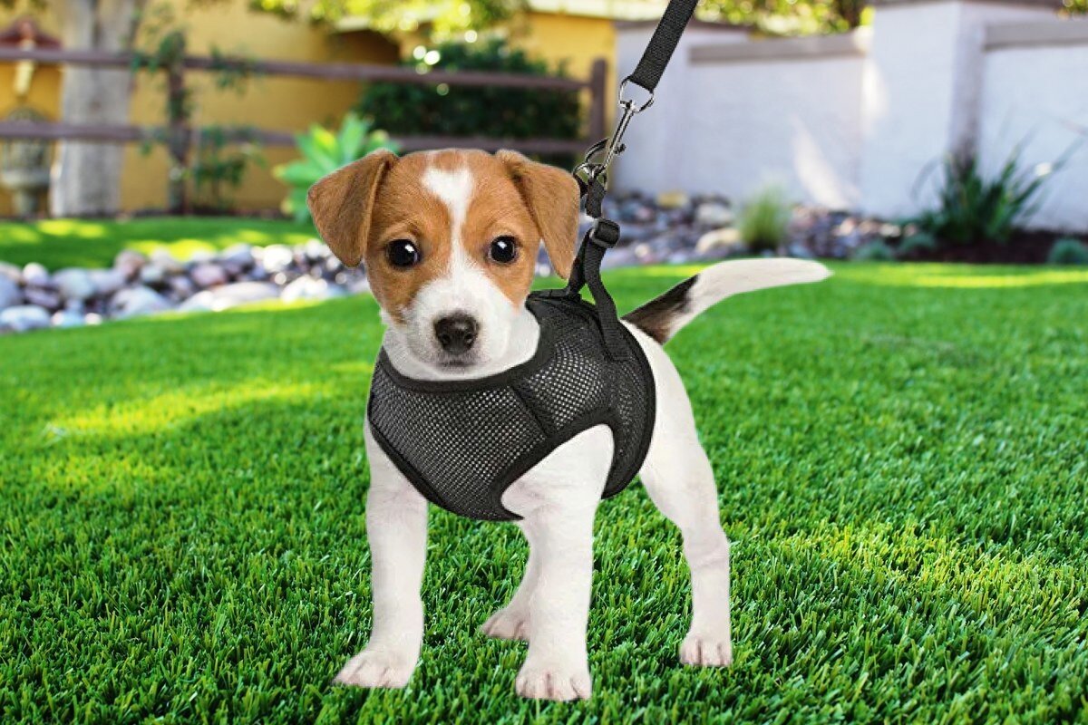 уплачена заемщиком комиссия за обслуживание ссудного счета. порядок расформирования избирательных комиссий. неверно выбрана комиссия. треугольника со сторонами 1 2 4 не существует. 2гис.