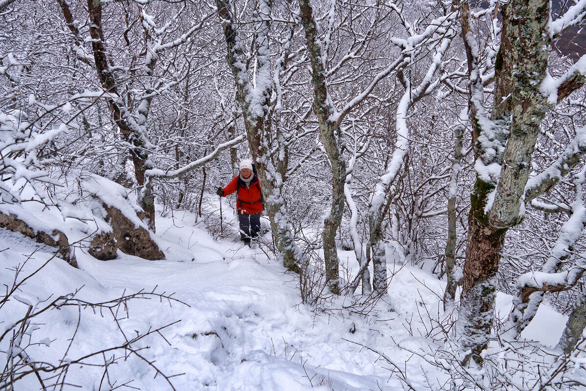 Как вы балуете своего мужа я иногда молчу. Женщины любите себя и балуйте цитаты. Девушку надо баловать. Художник jim schaeffing. Как ты балуешь своего мужа иногда молчу.