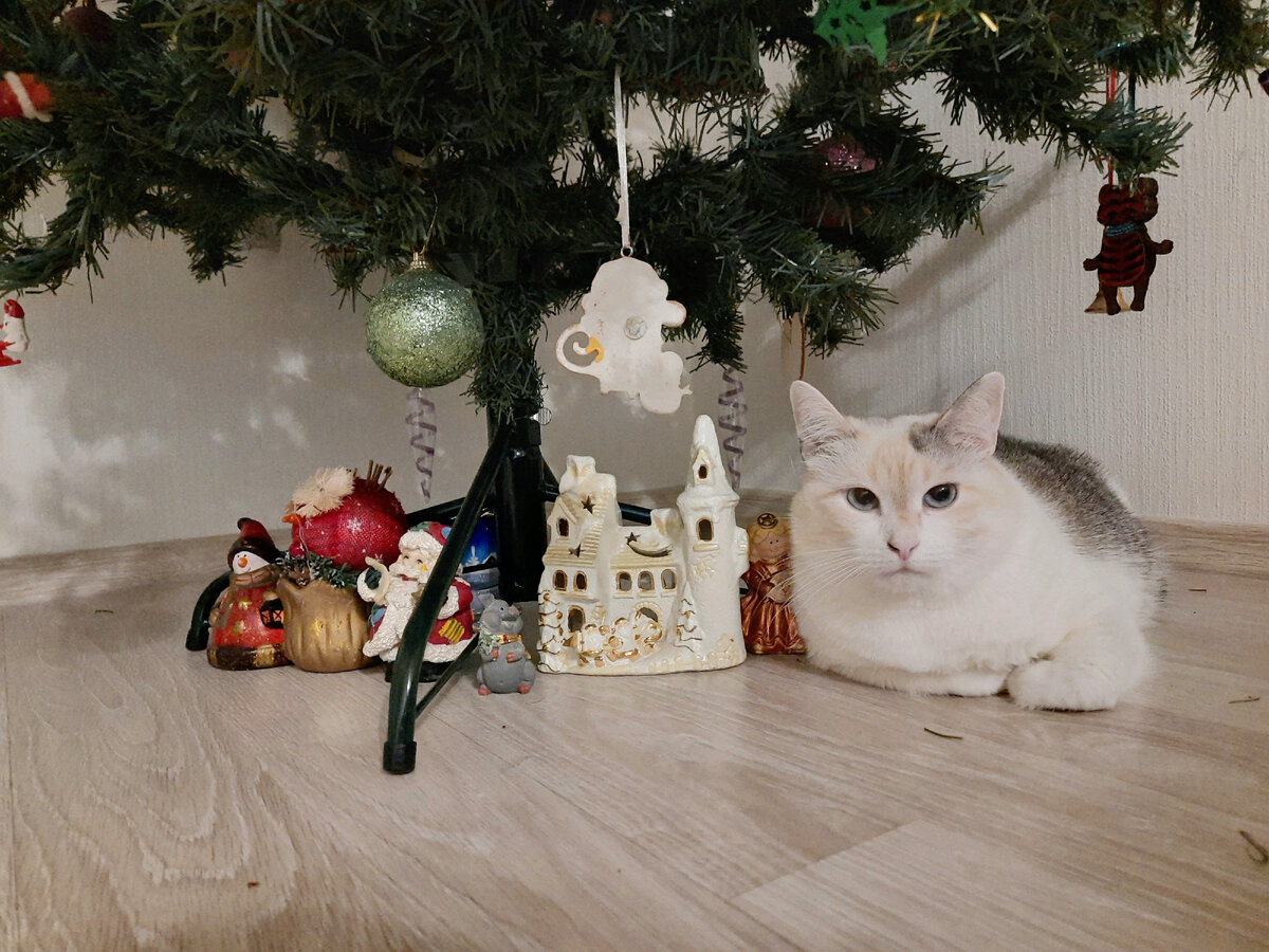 Новогодняя Клякса