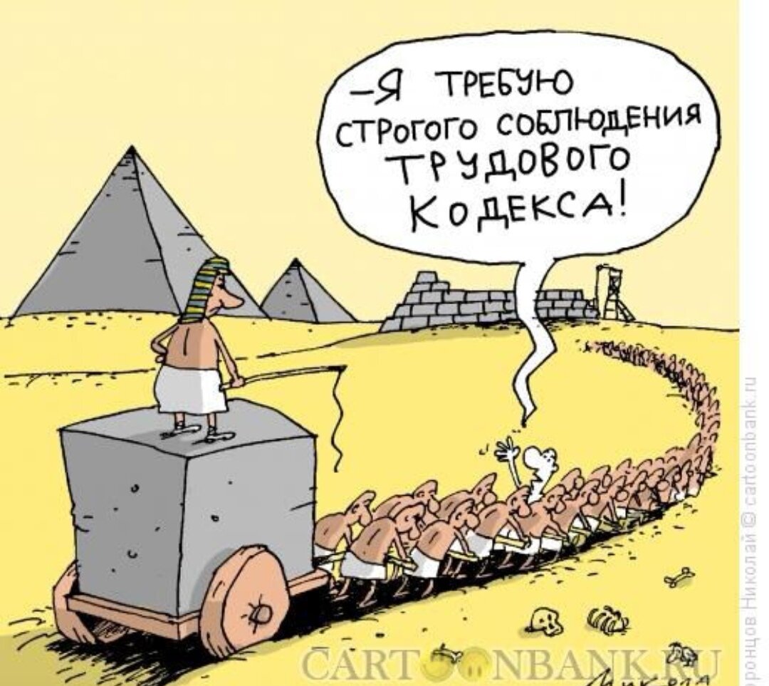 Через сколько отпуск после устройства на работу. Отпуск после 10 лет работы. Законодательства об отпусках. Основной и дополнительный отпуск. Отпуск после 10 лет работы.