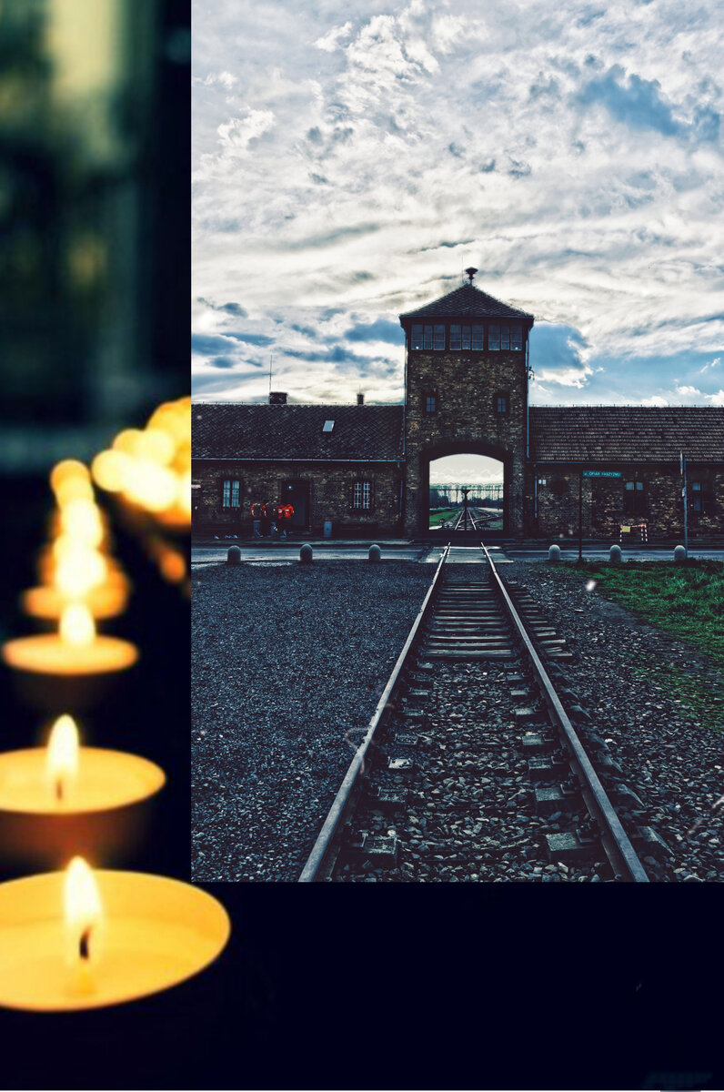 #холокост#втораямироваявойна#освенцим#международный#праздник#январь#обзоры#книг#пересказ#литература#саммари#современная