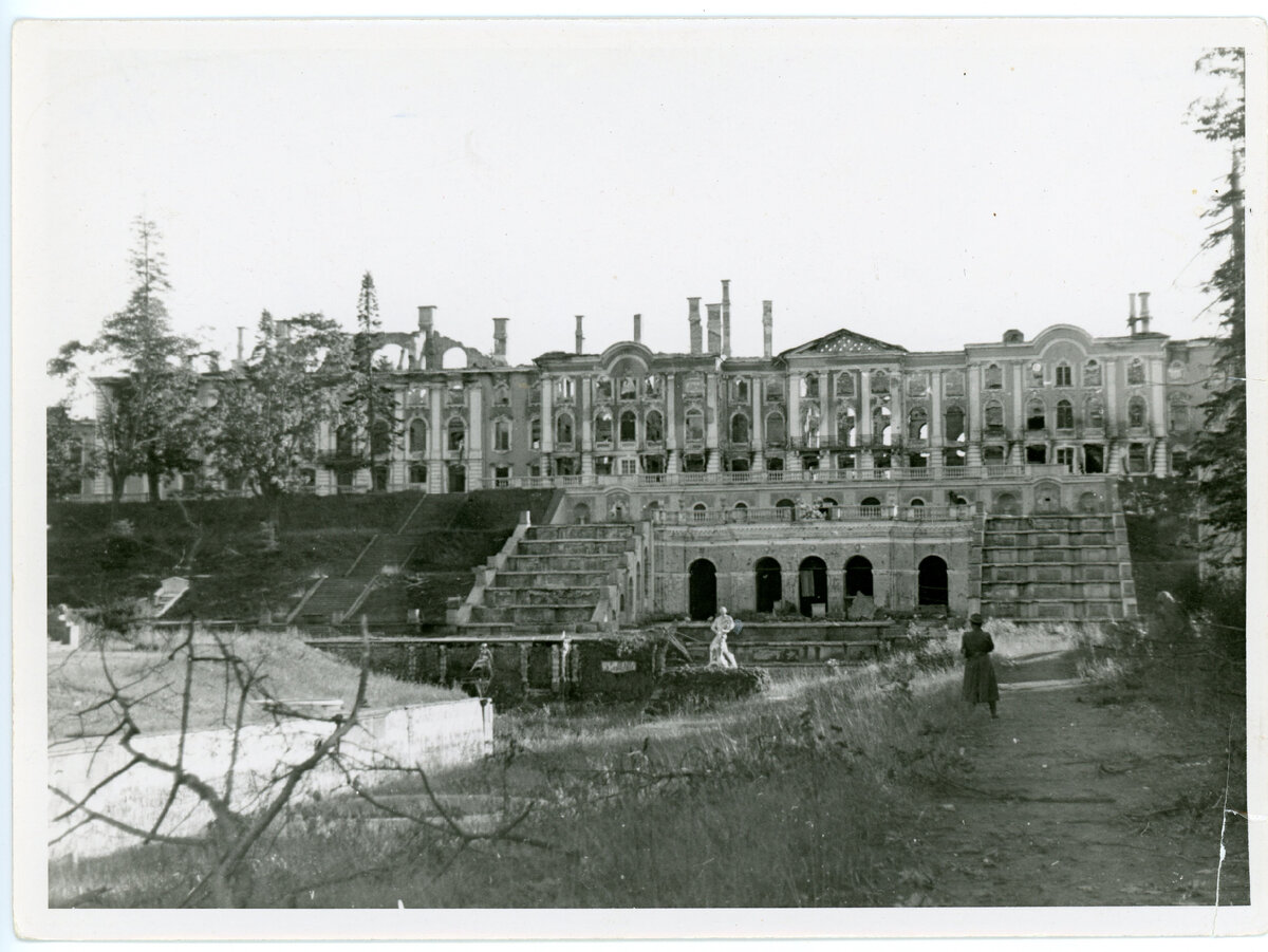петергоф старые фото. самсон фонтан петергоф до войны. петергоф 1710 год. петергоф в 1723 году. большой дворец в петергофе чб.