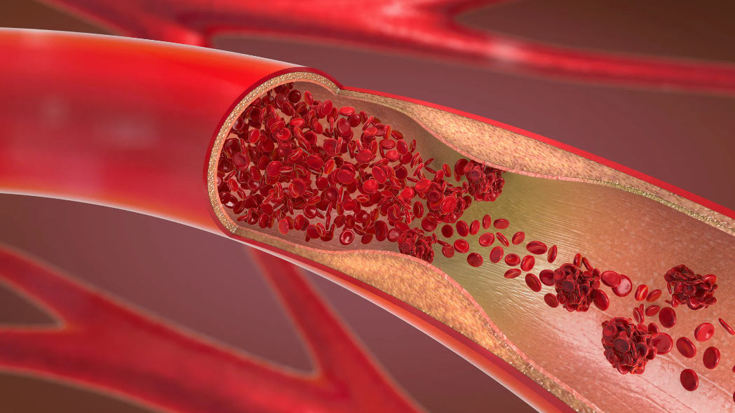 Классификация форменных элементов крови. Содержание форменных элементов в крови. Эритроциты форма двояковогнутого диска. Состав плазмы крови 8 класс биология. Функции форменных элементов крови.