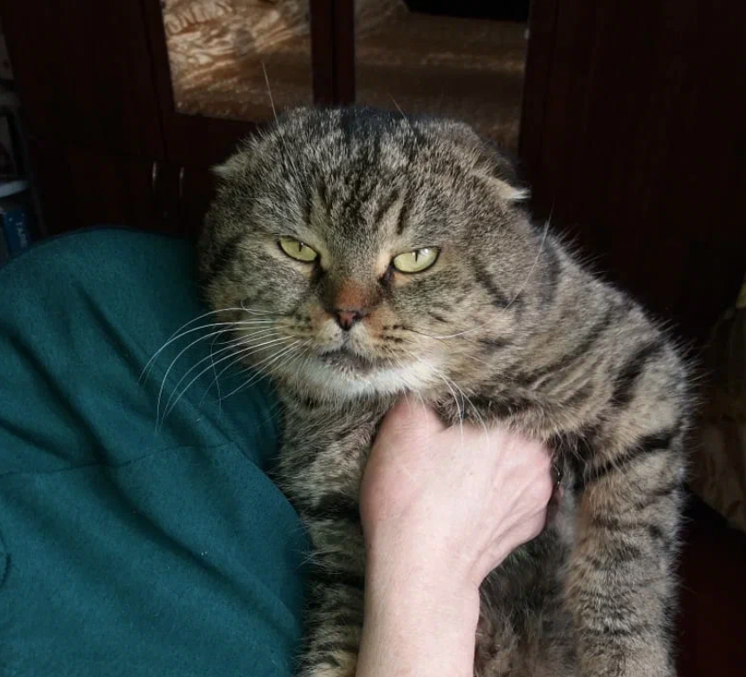 ПОТАП в руках Ба