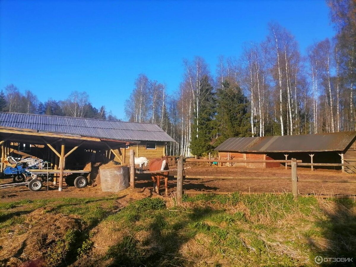 Остров Мандроги в Карелии на реке Свирь