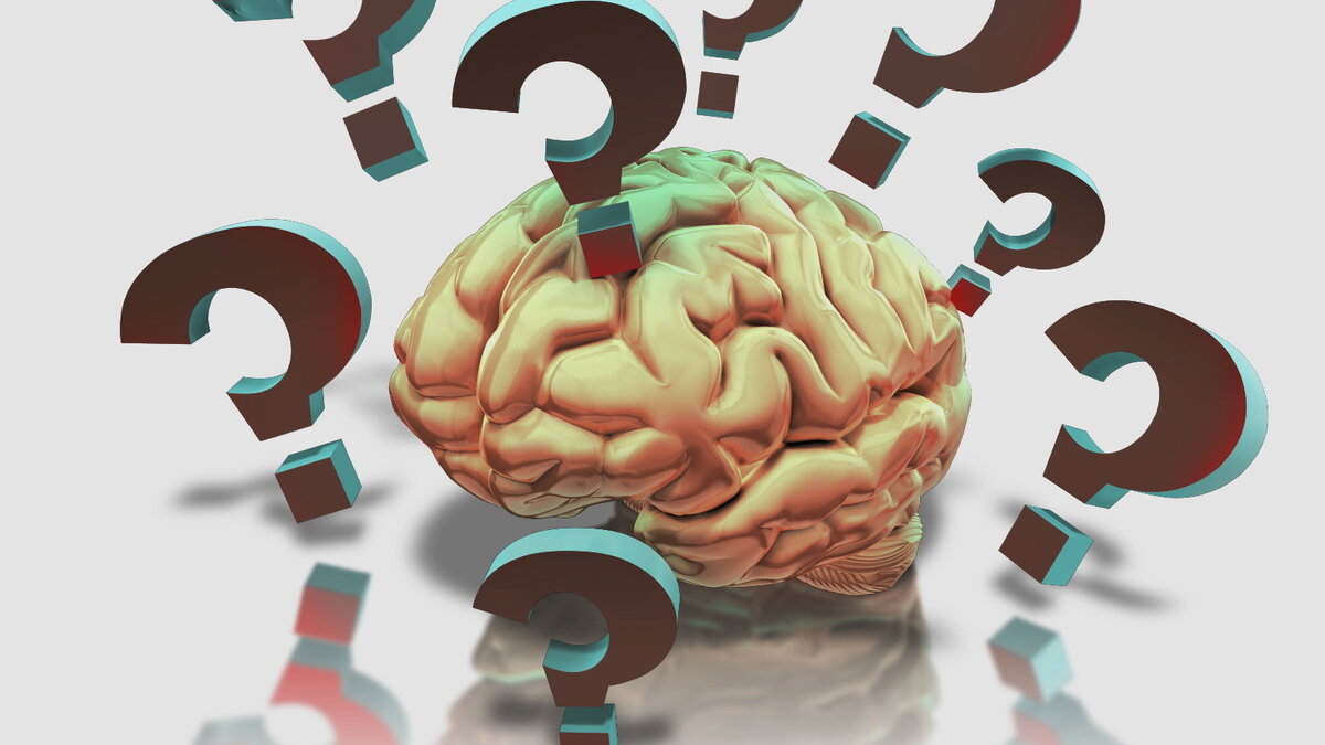 ответы разума