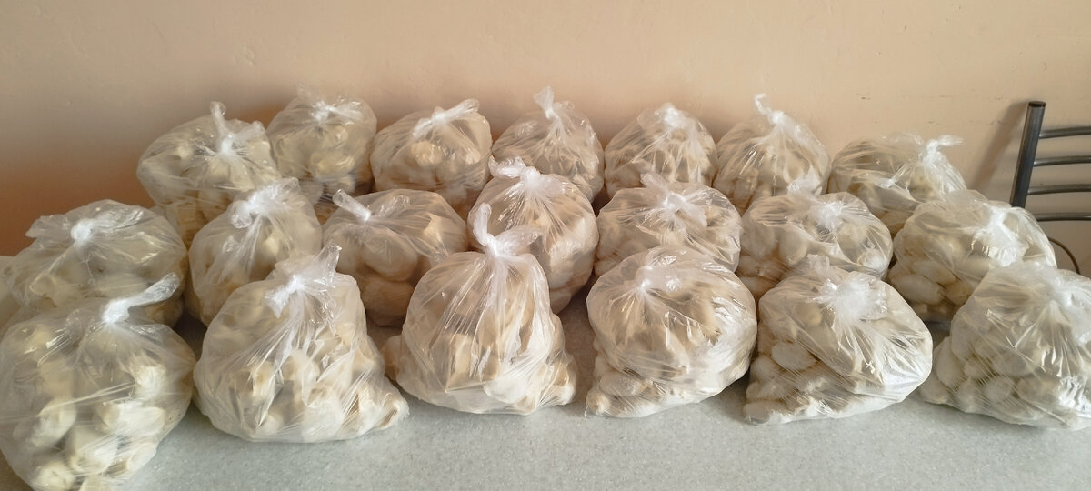 Домашние полуфабрикаты))) 