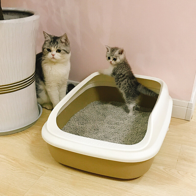 Лоток для кошек. Кошачий туалет. Кот в лотке. Лоток с наполнителем для кошки.