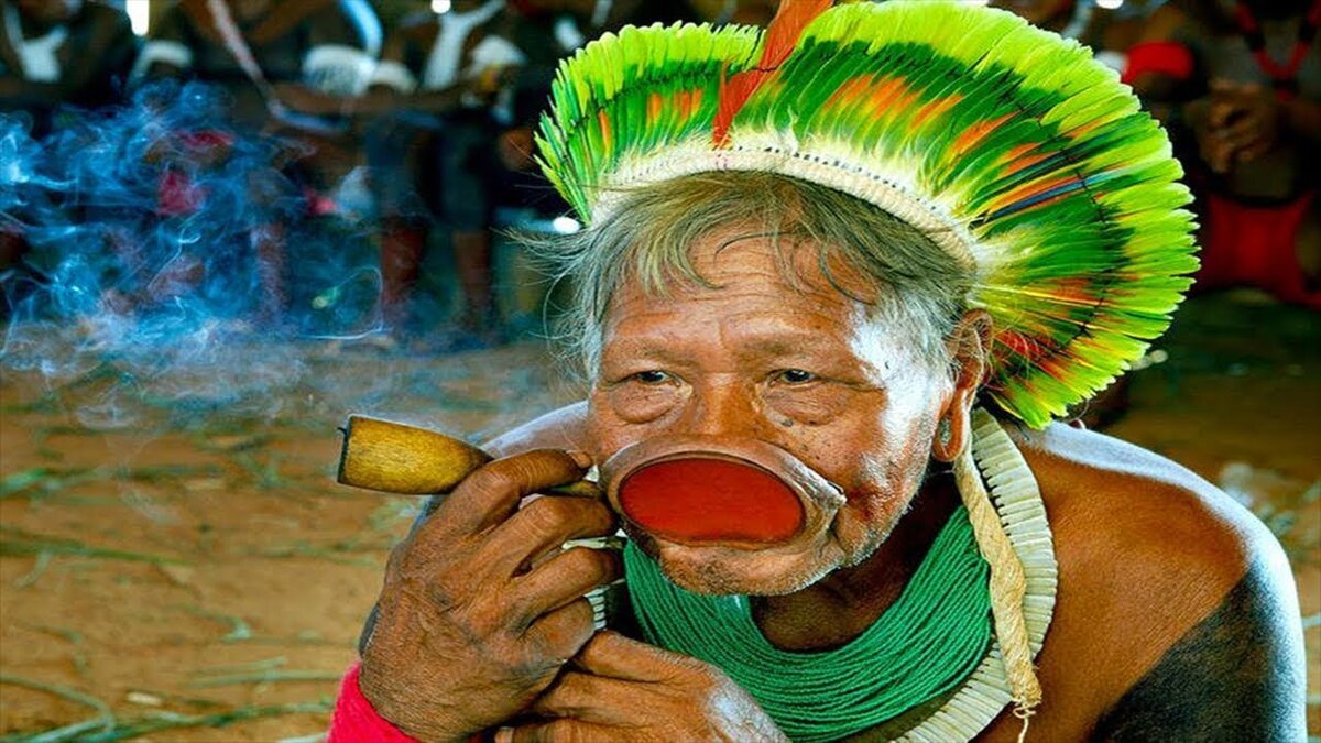 Латинская америка континент. Компании южной америки. Южная америка континент. Латинская америка континент. Организации латинской америки.