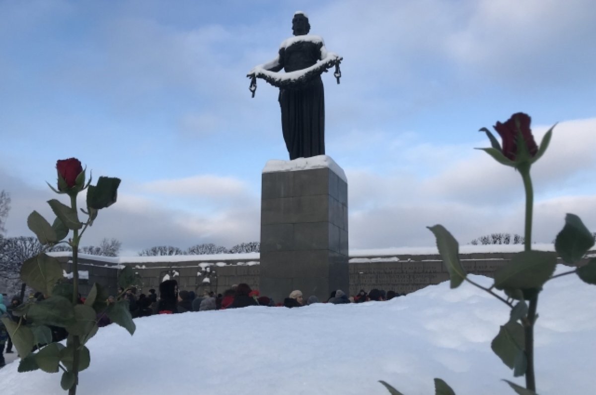    На Пискаревском кладбище проходит церемония возложения венков