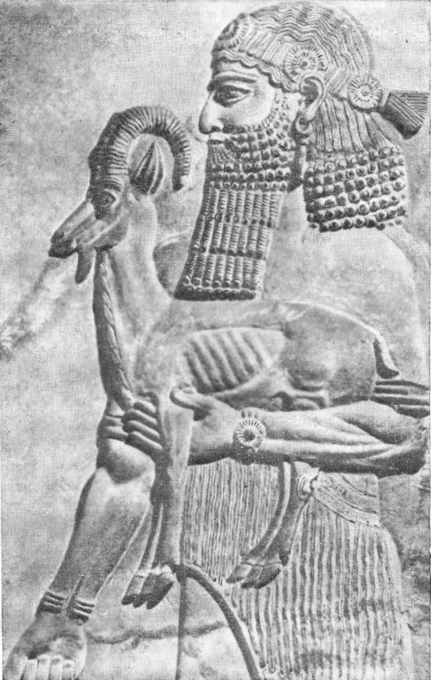 Царь Саргон II, несущий жертвенного козленка. Фрагмент рельефа из дворца Саргона II в Дур-Шаррукине. Париж. Лувр.