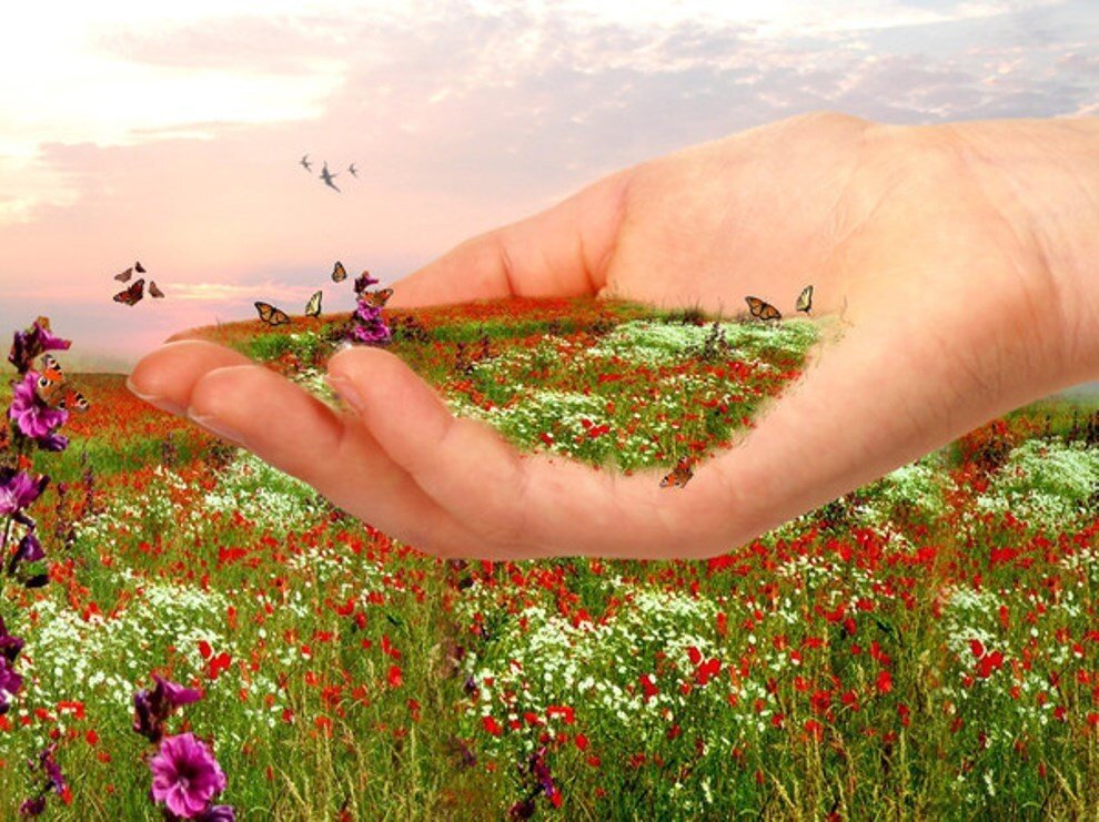 Конкурс рифмоплет. Незнайка рифмоплет. Игра рифмоплет. Рифмоплет мем. Конкурс рифмоплет.