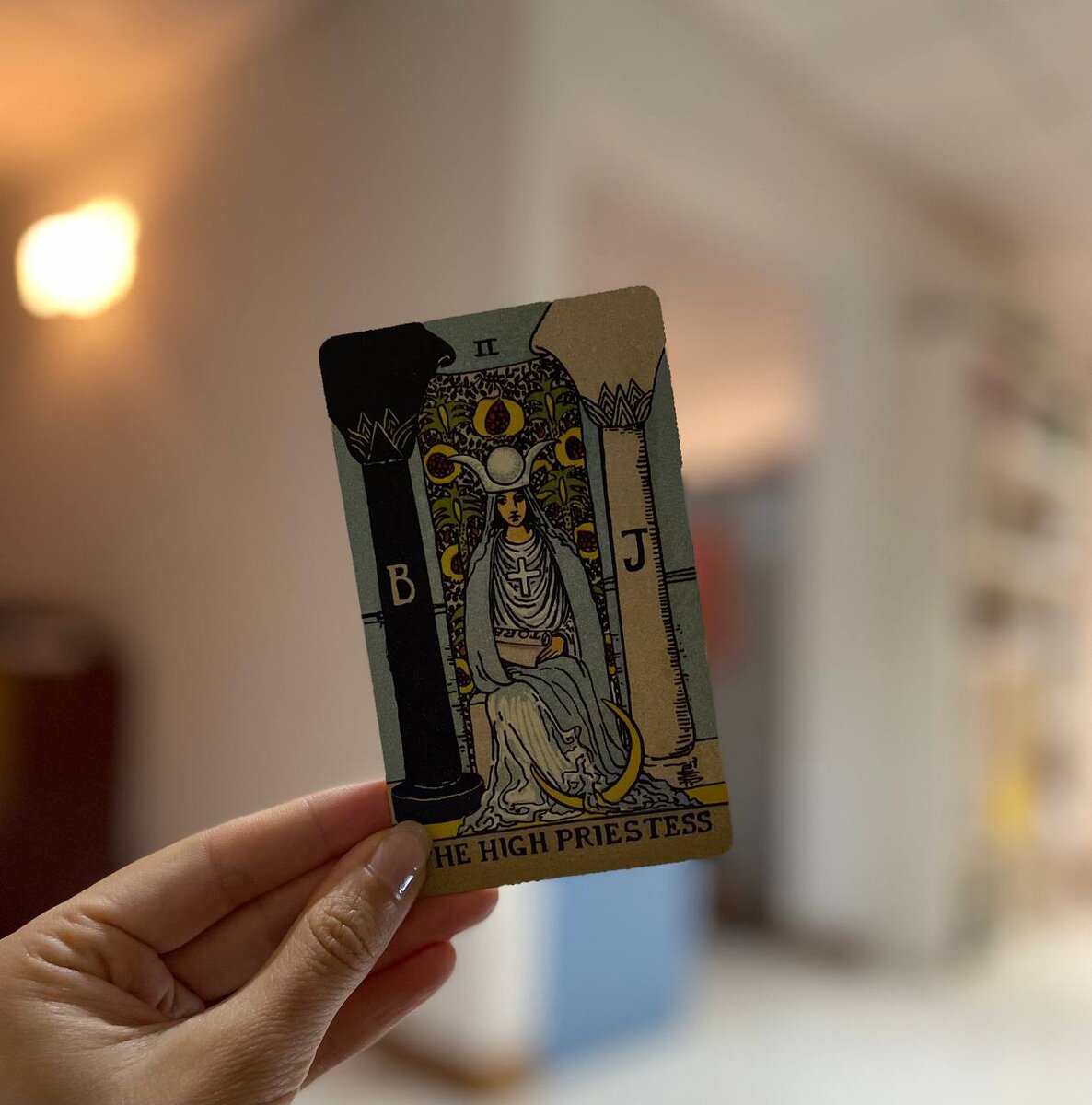 прогноз для овнов на 2024 год