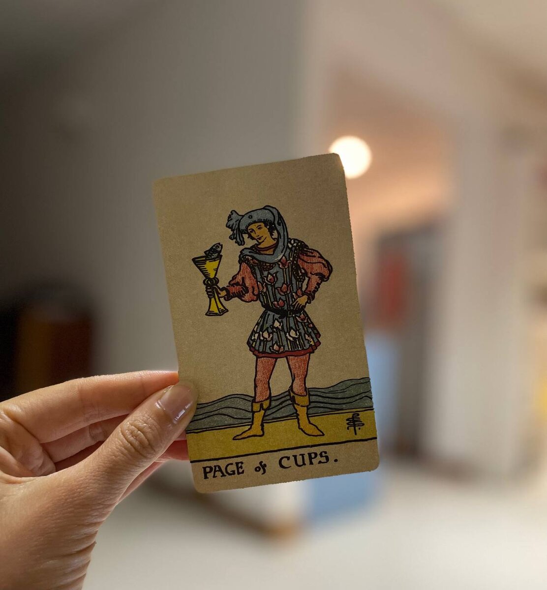 прогноз для тельцов на 2024 год