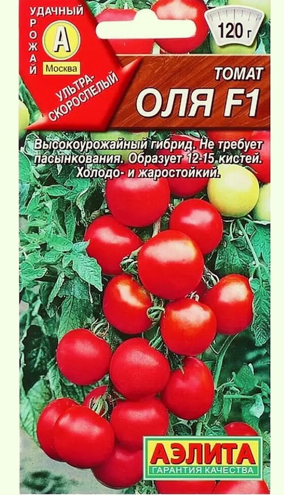 Парник для высадки томатов в открытый грунт. Гринхаус помидоры черри. Томаты черри гидропоника. Индетерминантный томат шпалера. Помидоры высокорослые лучшие сорта для теплицы.