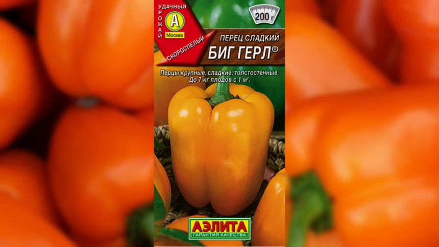 Перец сладкий Биг Герл. Не разочаровал урожая сбор!