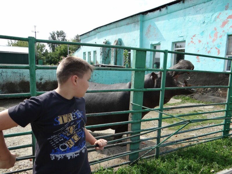 переводят ребенка в патологию. переводят ребенка в патологию. отделение патологии новорожденных. отделение патологии новорожденных брянск областная больница. основные причины патологии детской речи логопедия.