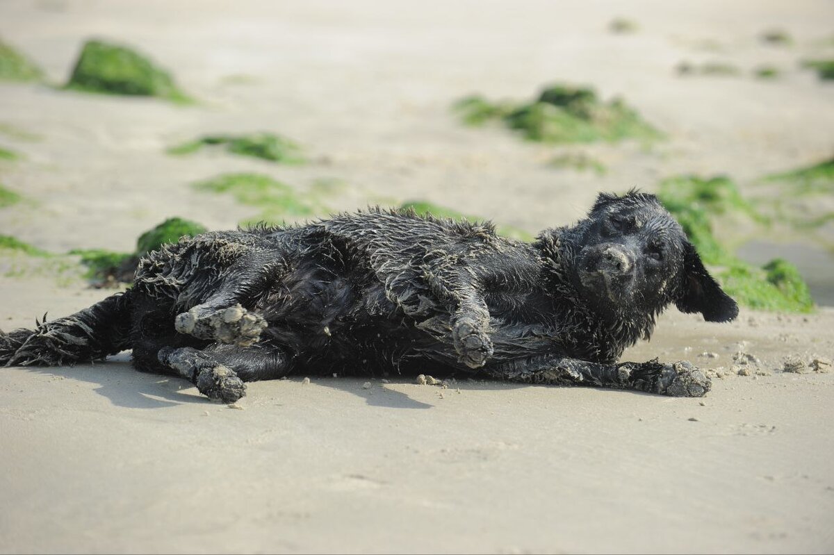 Фотограф Наталья Светличная