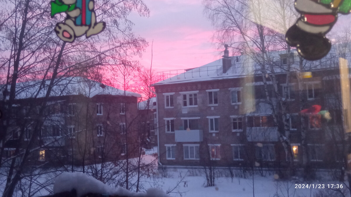 Розовый прекрасен. 