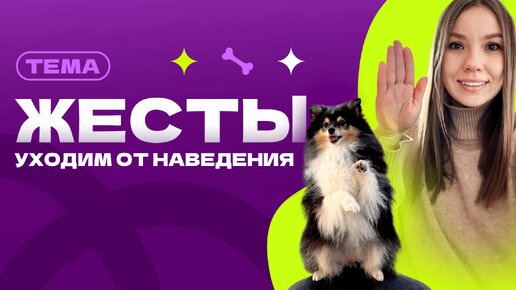 Что такое жест? Как уйти от наведения? Как научить собаку работать без куска